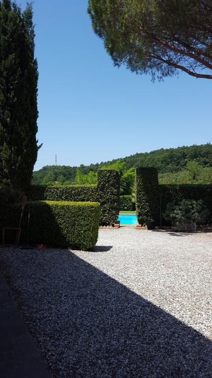 Podere Lo Stringaio Fauglia Zewnętrze zdjęcie