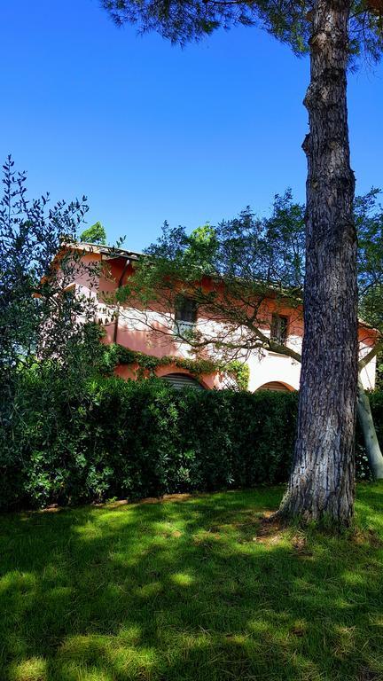 Podere Lo Stringaio Fauglia Zewnętrze zdjęcie