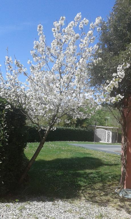 Podere Lo Stringaio Fauglia Zewnętrze zdjęcie